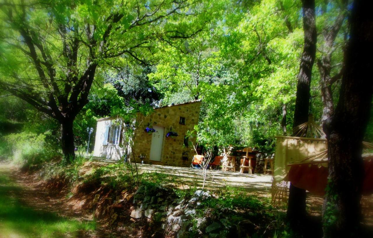 Domaine de l'Insolite Meounes-les-Montrieux Extérieur photo