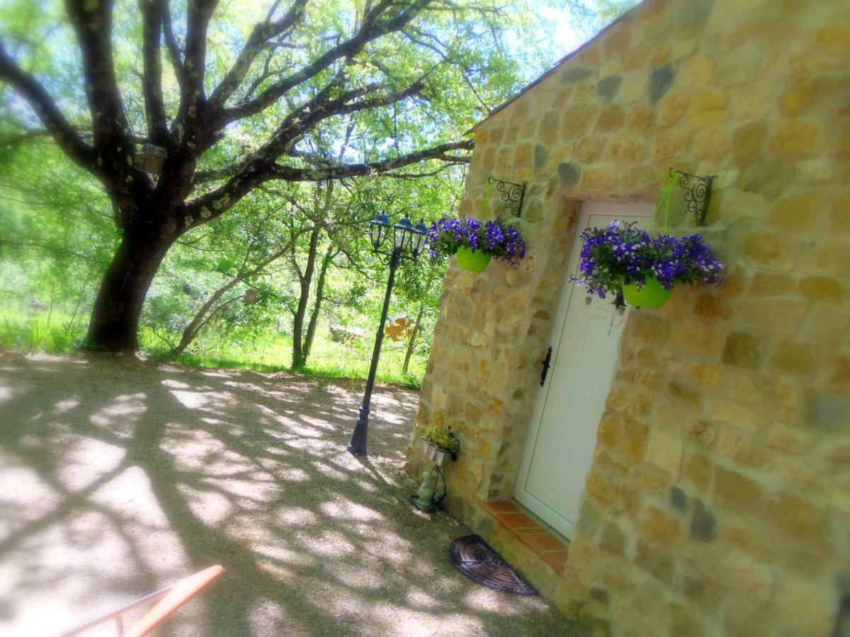 Domaine de l'Insolite Meounes-les-Montrieux Extérieur photo