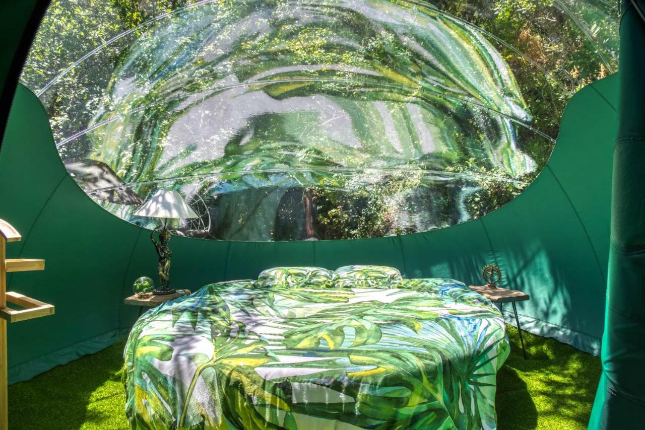 Domaine de l'Insolite Meounes-les-Montrieux Extérieur photo